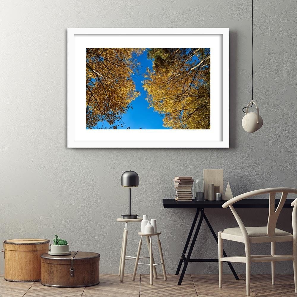 Glezna baltā rāmī - The Tops Of Trees In Autumn Home Trends DECO