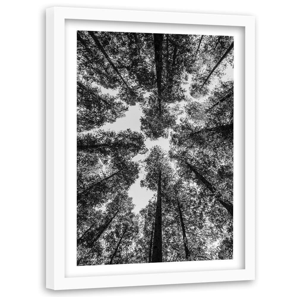 Glezna baltā rāmī - The Treetops Home Trends DECO