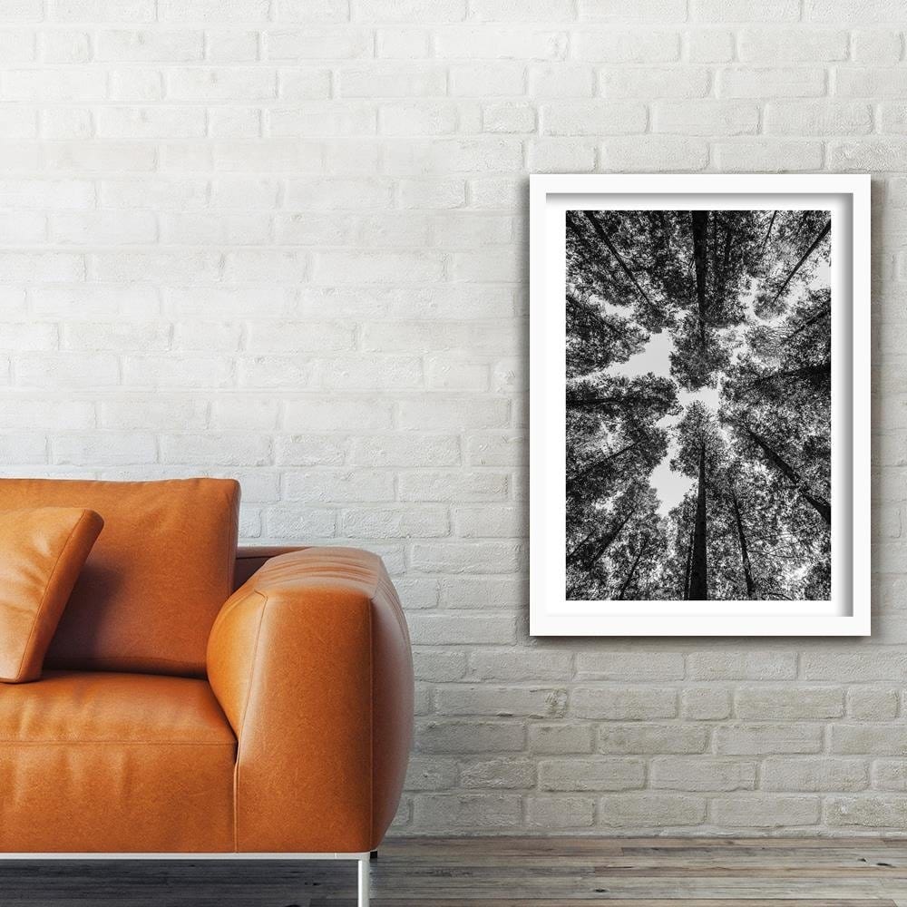 Glezna baltā rāmī - The Treetops Home Trends DECO