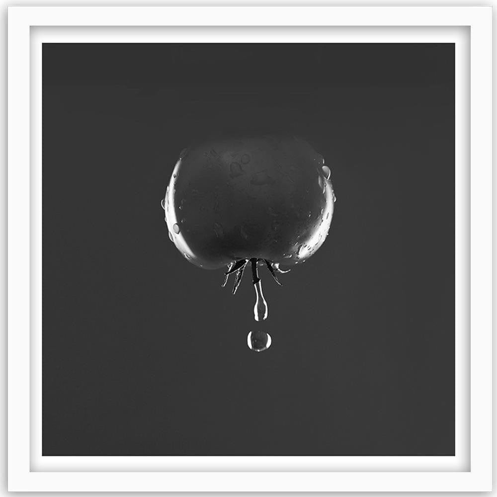 Glezna baltā rāmī - Tomato And Water Drops 2 Home Trends DECO