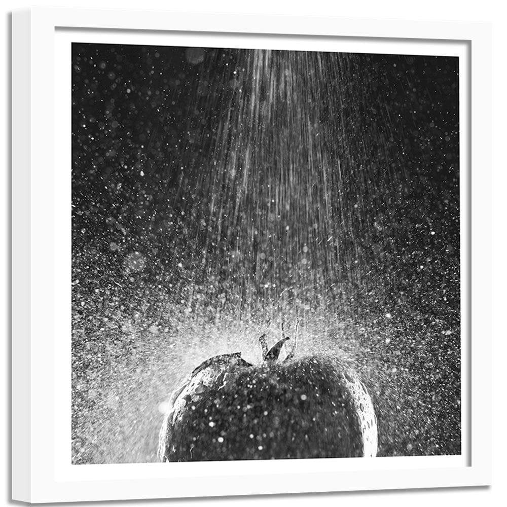 Glezna baltā rāmī - Tomato In Water Stream Of 2 Home Trends DECO