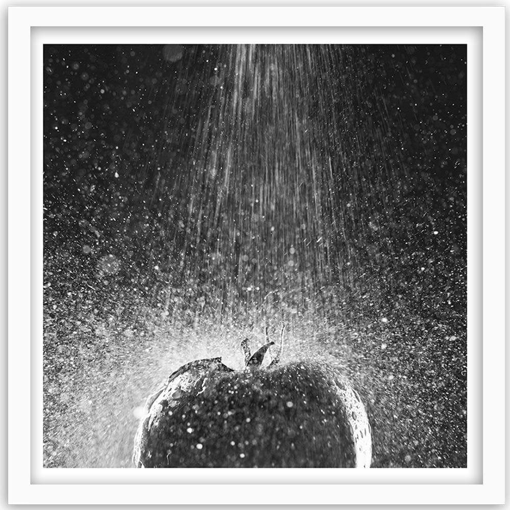 Glezna baltā rāmī - Tomato In Water Stream Of 2 Home Trends DECO