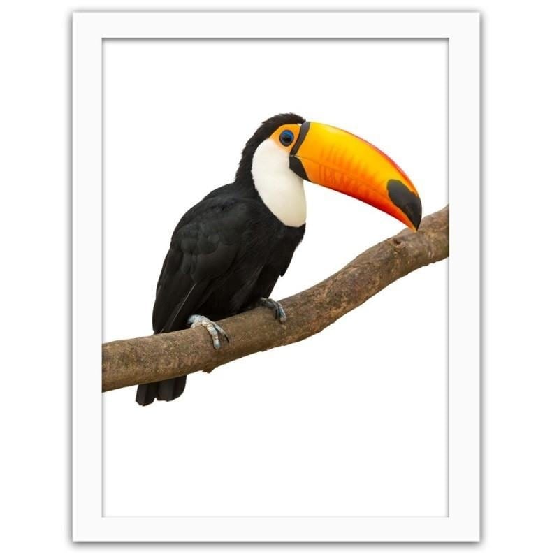 Glezna baltā rāmī - Toucan Home Trends DECO