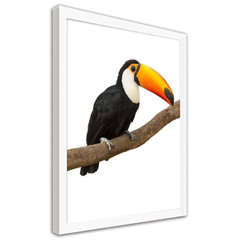 Glezna baltā rāmī - Toucan Home Trends DECO