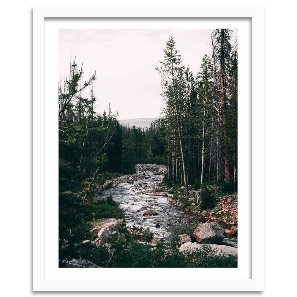 Glezna baltā rāmī - Tranquil Forest Stream Home Trends DECO