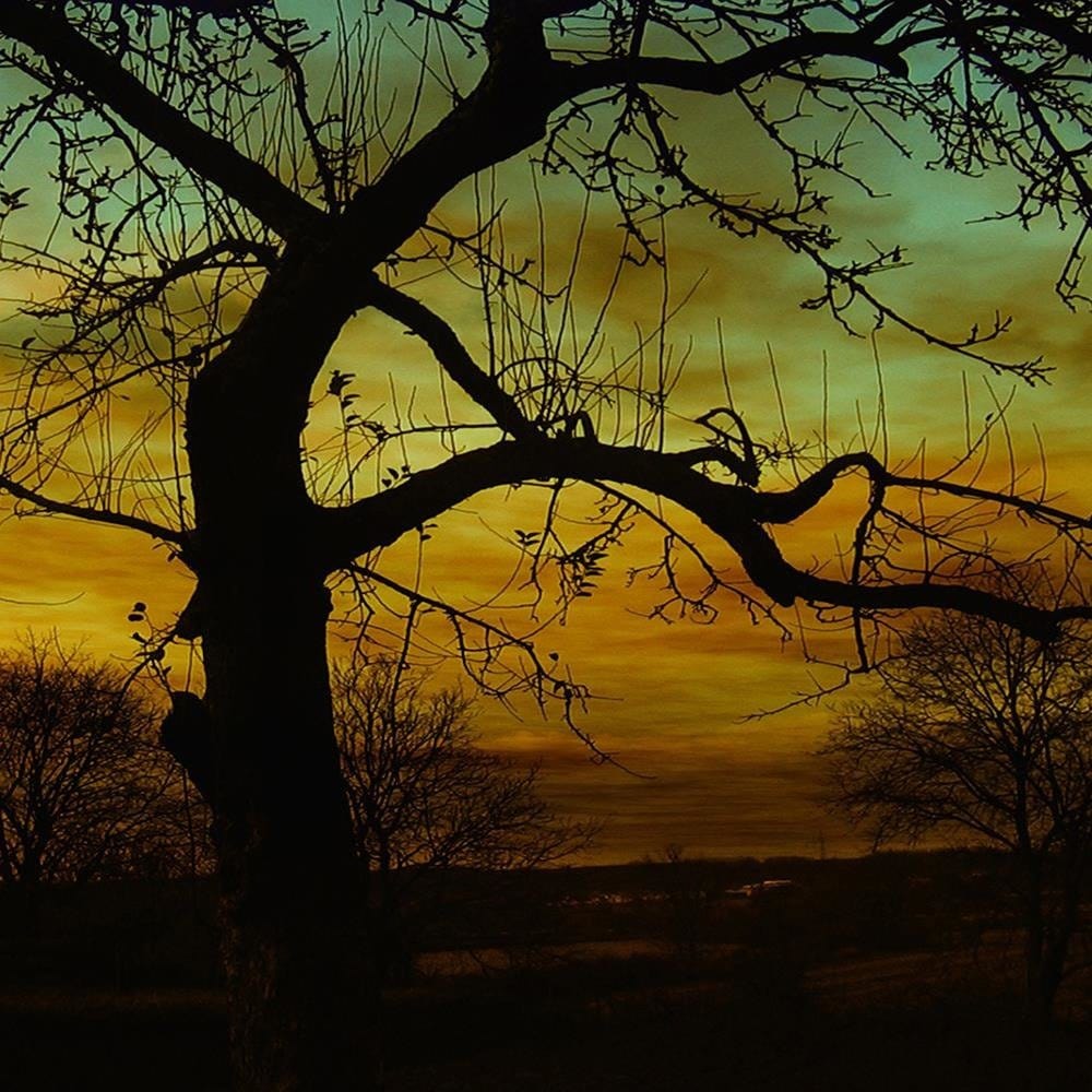 Glezna baltā rāmī - Tree At Dusk Home Trends DECO