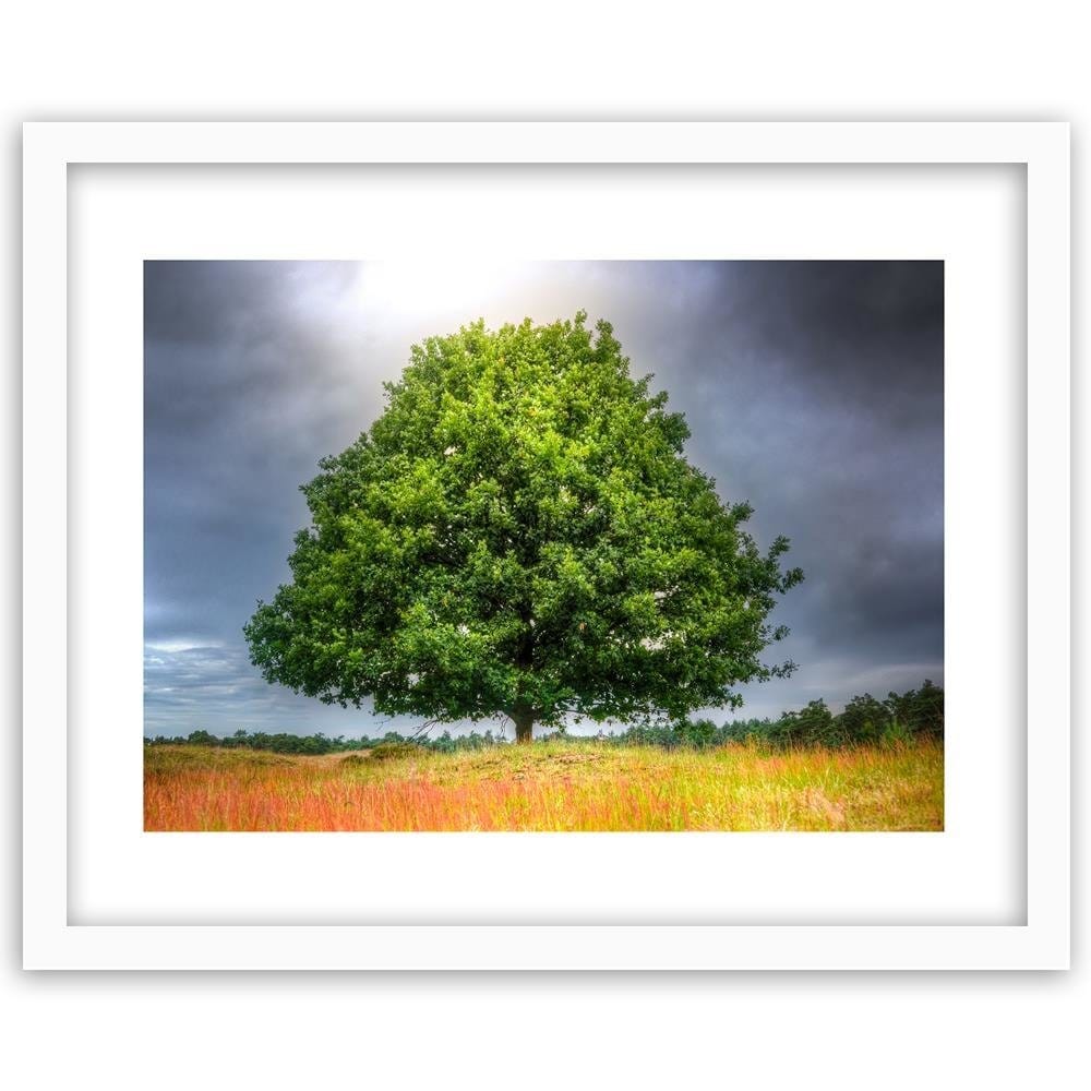 Glezna baltā rāmī - Tree Before The Storm Home Trends DECO
