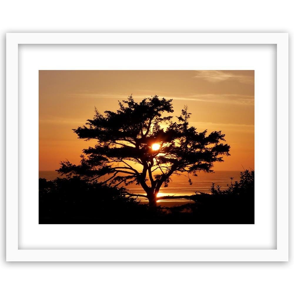 Glezna baltā rāmī - Tree By The Sea At Sunset Home Trends DECO