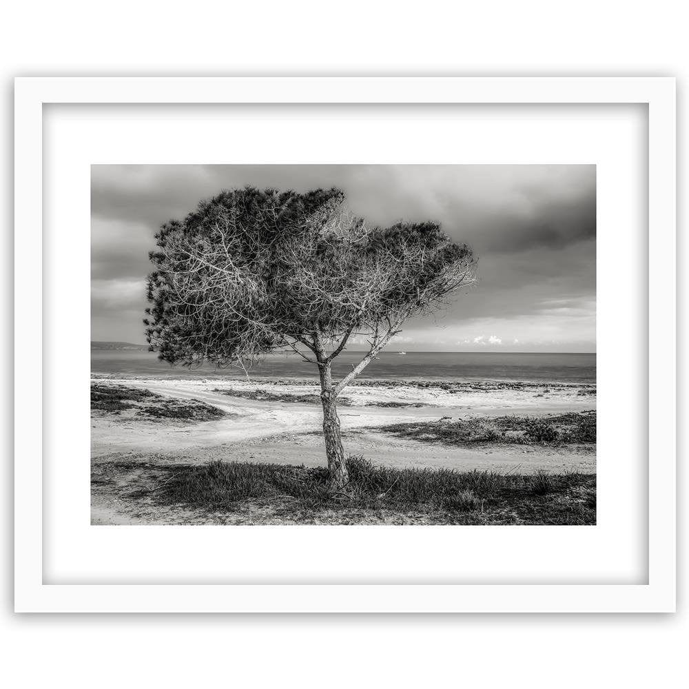 Glezna baltā rāmī - Tree By The Sea Home Trends DECO