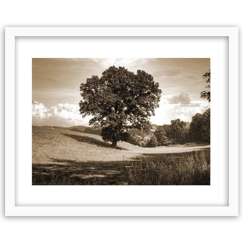 Glezna baltā rāmī - Tree Clearing 1 Home Trends DECO