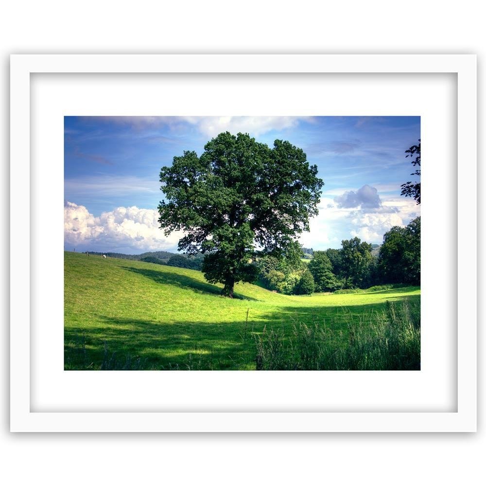 Glezna baltā rāmī - Tree Clearing 3 Home Trends DECO