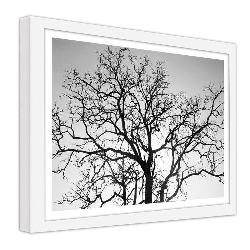 Glezna baltā rāmī - Tree crown Home Trends DECO
