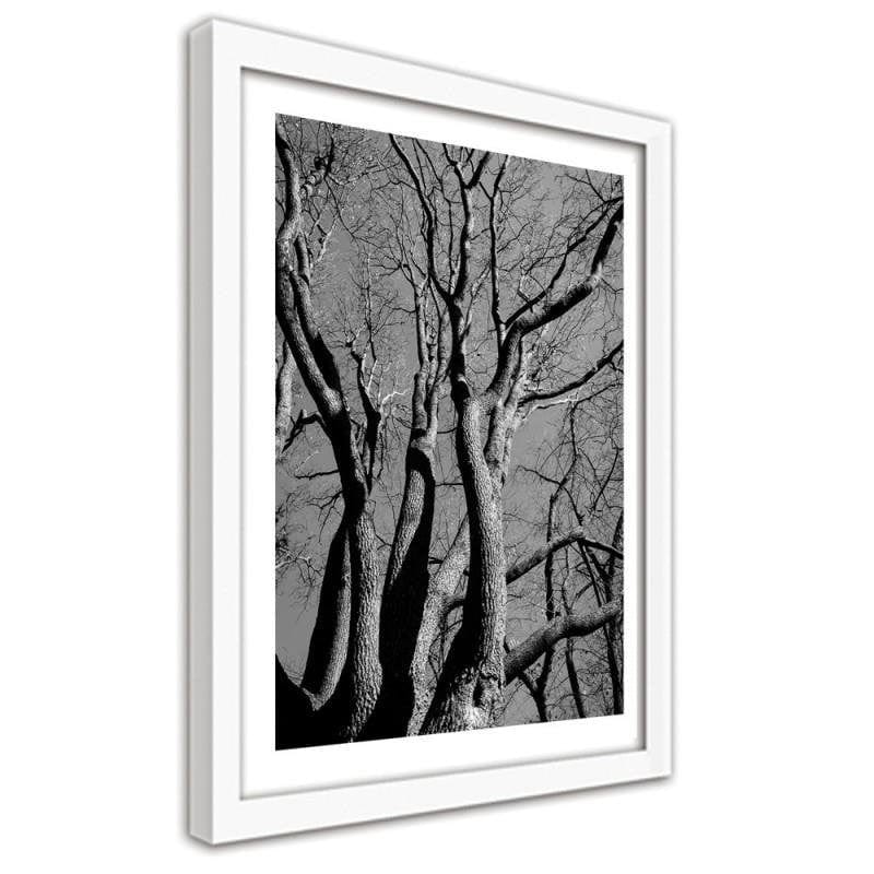 Glezna baltā rāmī - Tree crown in black and white Home Trends DECO