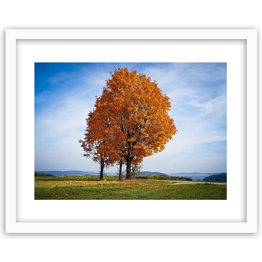 Glezna baltā rāmī - Tree On The Hill Home Trends DECO