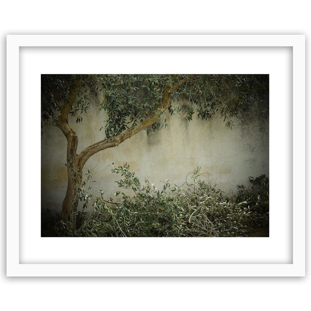 Glezna baltā rāmī - Tree On The Wall Home Trends DECO