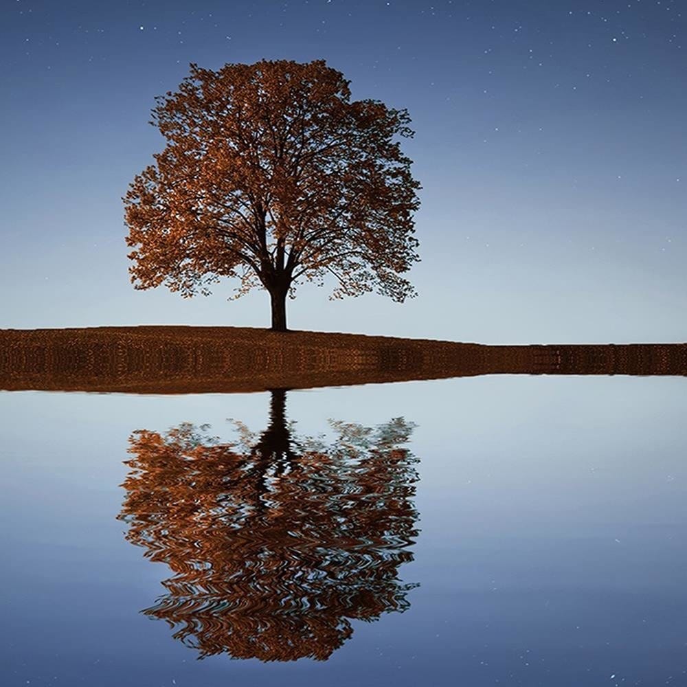 Glezna baltā rāmī - Tree Under The Night Sky Home Trends DECO