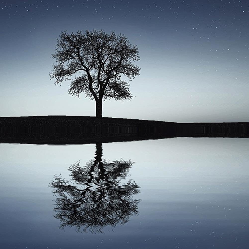 Glezna baltā rāmī - Tree Under The Stars Home Trends DECO