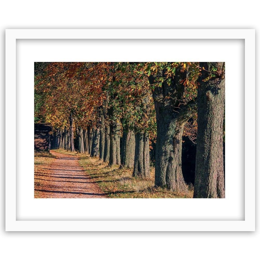 Glezna baltā rāmī - Trees In The Park In Autumn Home Trends DECO