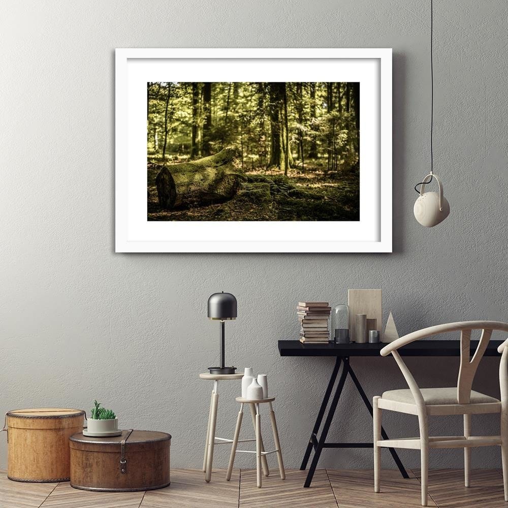 Glezna baltā rāmī - Trunk Covered With Moss Home Trends DECO