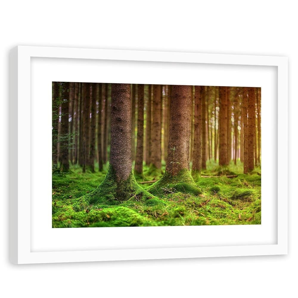 Glezna baltā rāmī - Trunks Covered With Moss Home Trends DECO