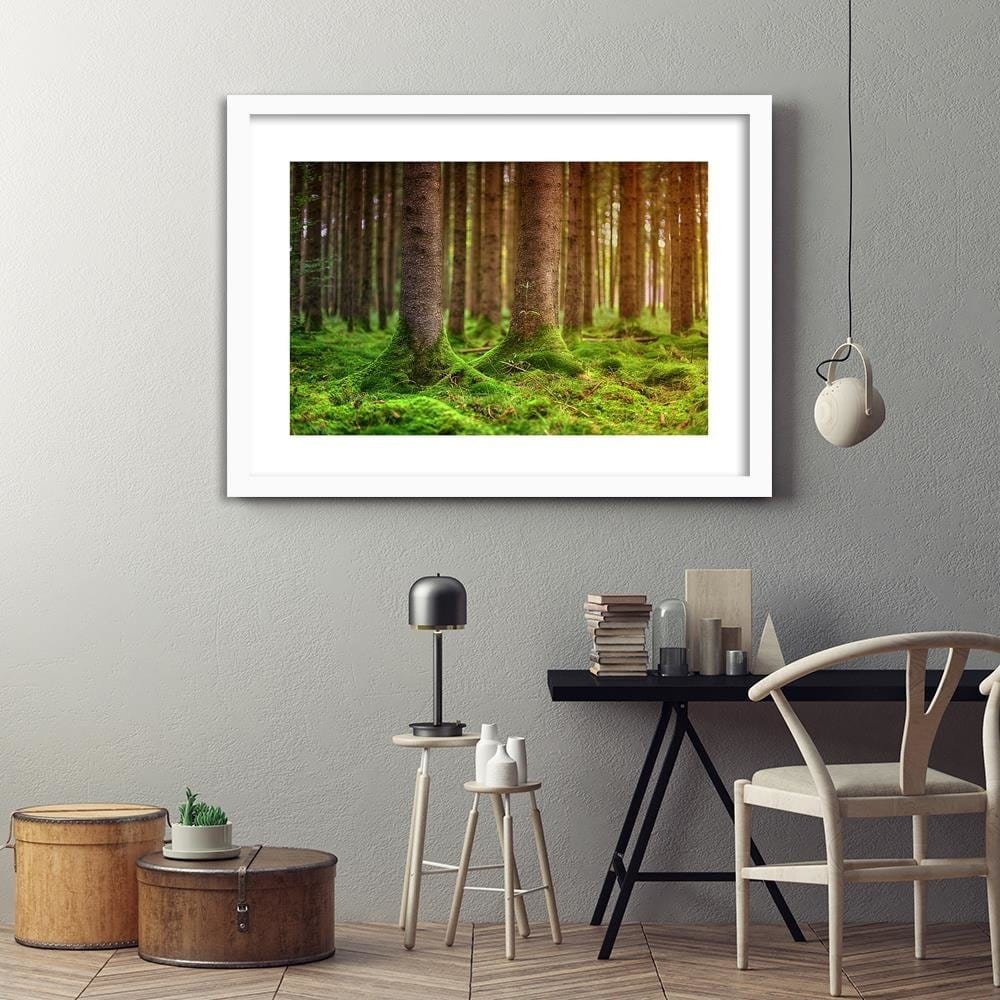 Glezna baltā rāmī - Trunks Covered With Moss Home Trends DECO