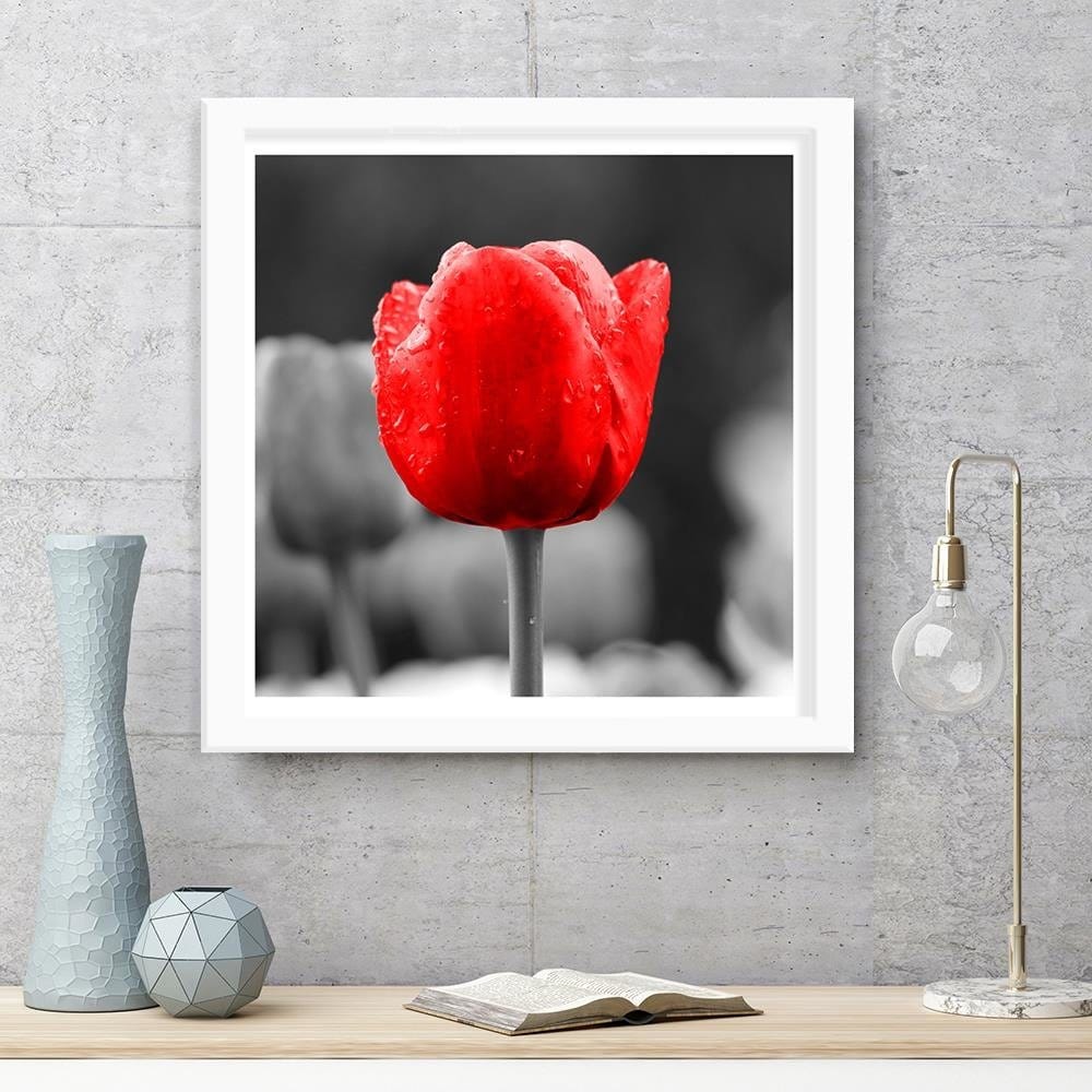 Glezna baltā rāmī - Tulip In Red Home Trends DECO