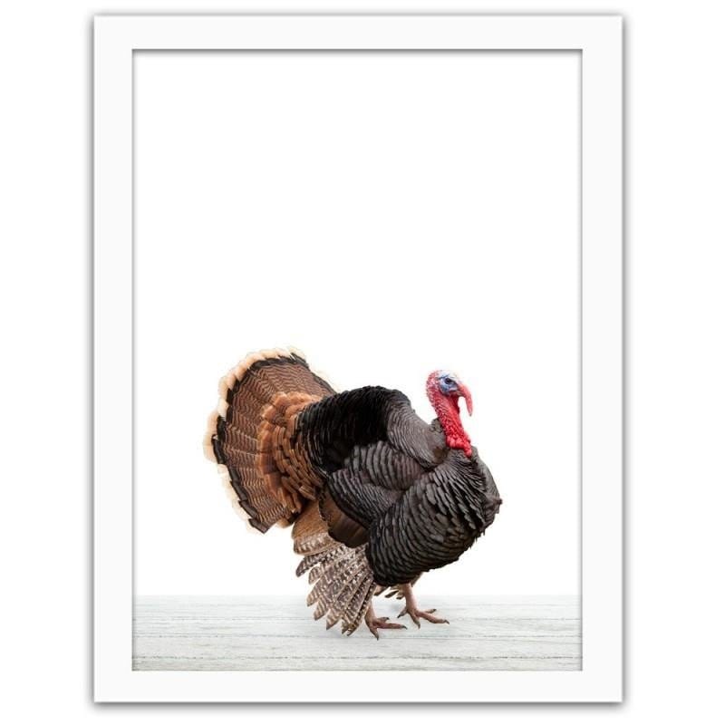 Glezna baltā rāmī - Turkey 2 Home Trends DECO