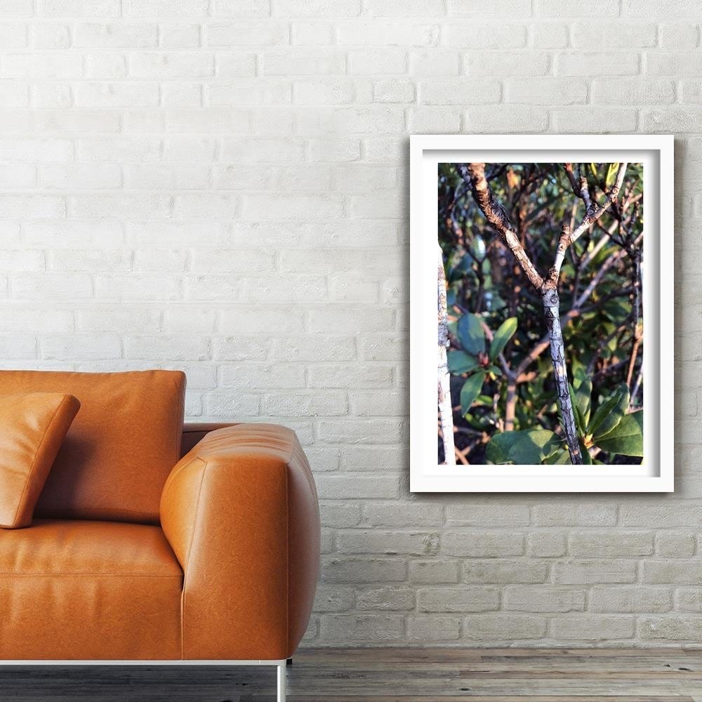 Glezna baltā rāmī - Twig Bush Home Trends DECO