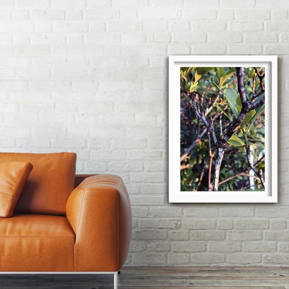 Glezna baltā rāmī - Twig Bush Home Trends DECO