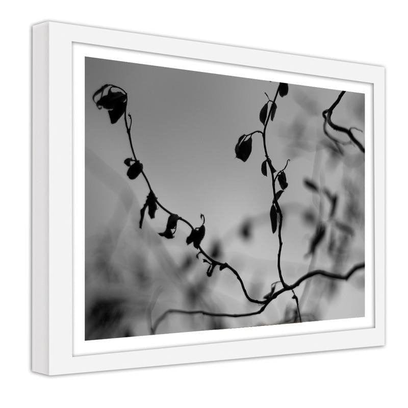 Glezna baltā rāmī - Twig on grey background 2 Home Trends DECO
