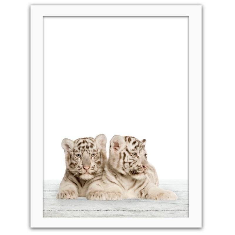 Glezna baltā rāmī - Two little white tigers. Home Trends DECO