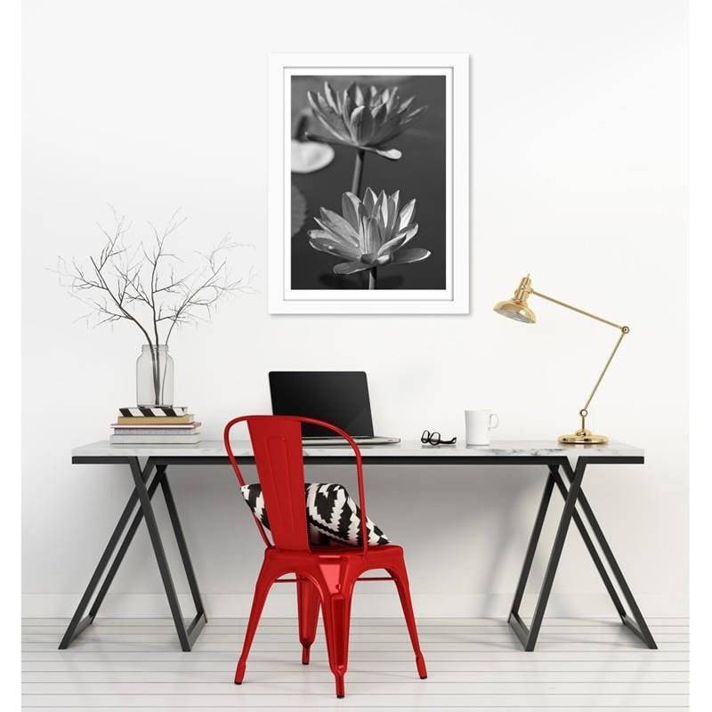 Glezna baltā rāmī - Two water lilies Home Trends DECO