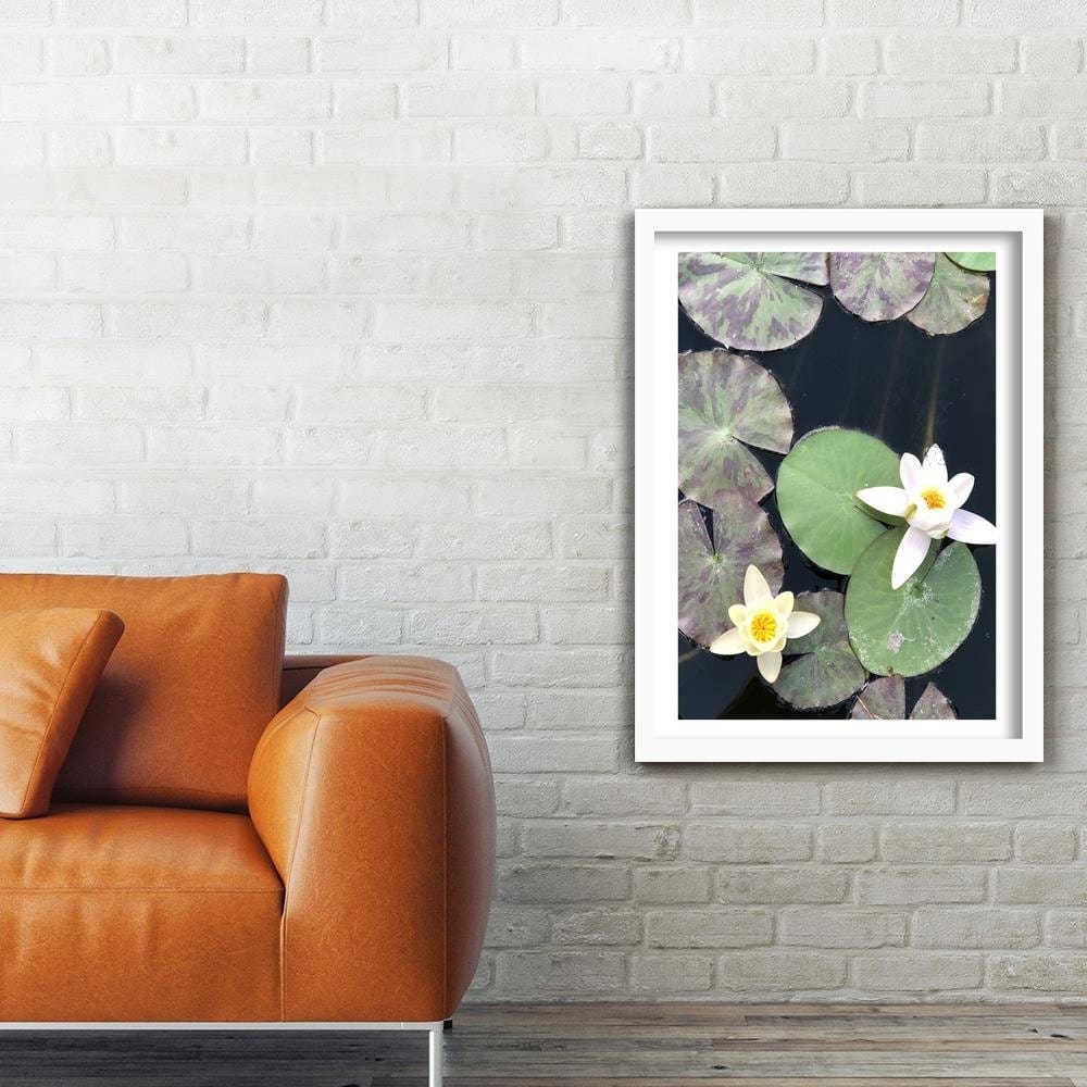 Glezna baltā rāmī - Two Water Lilies Home Trends DECO