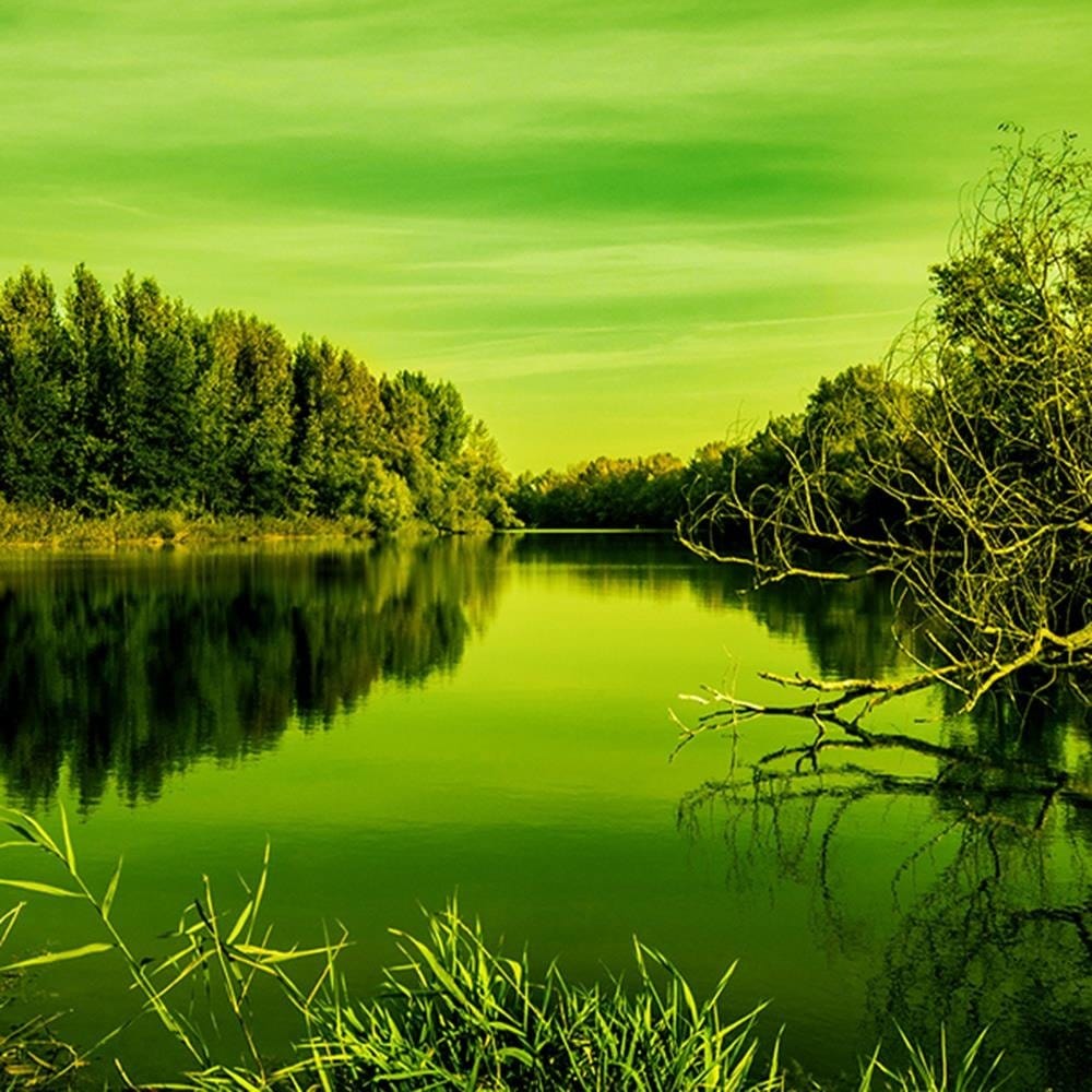 Glezna baltā rāmī - View Of The Lake 4 Home Trends DECO