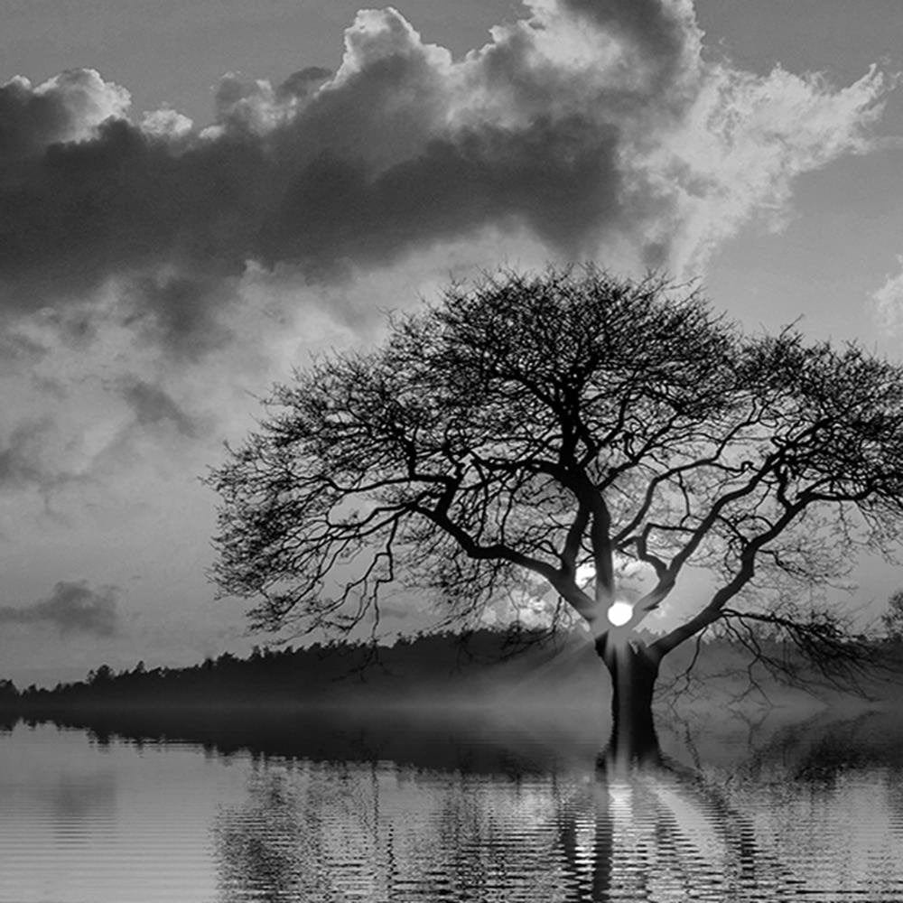 Glezna baltā rāmī - View Of The Tree At 2 Home Trends DECO