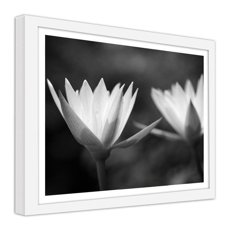 Glezna baltā rāmī - Water lilies 2 Home Trends DECO