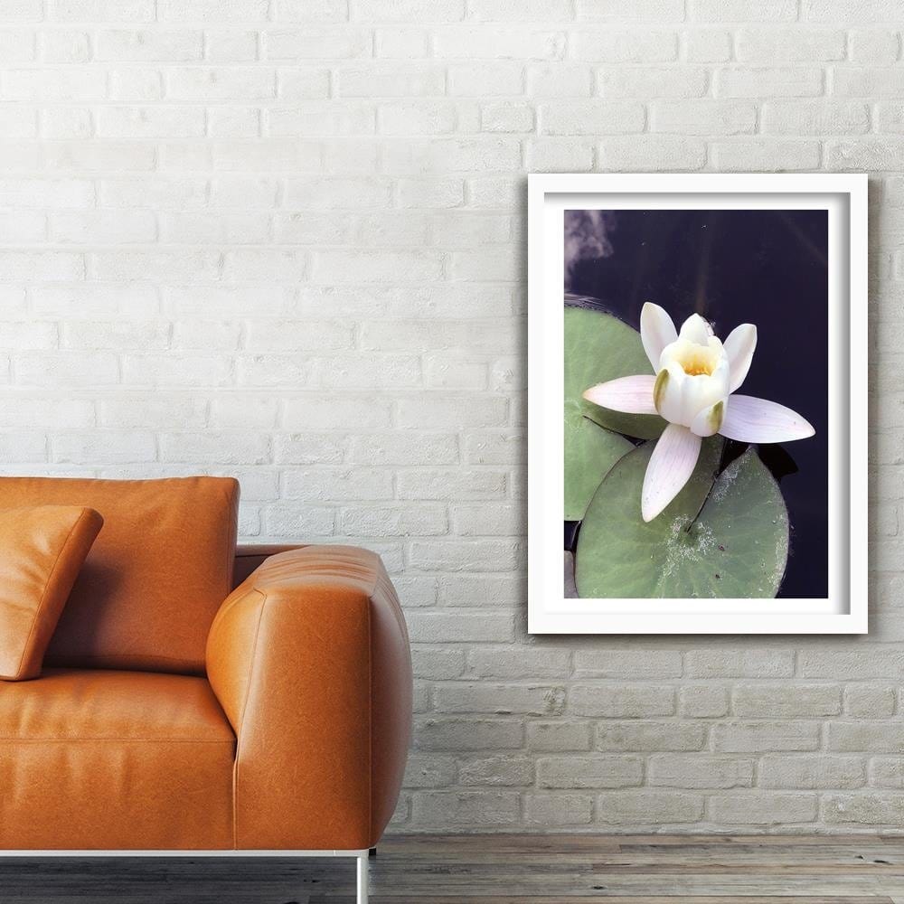 Glezna baltā rāmī - Water Lily Flower Home Trends DECO