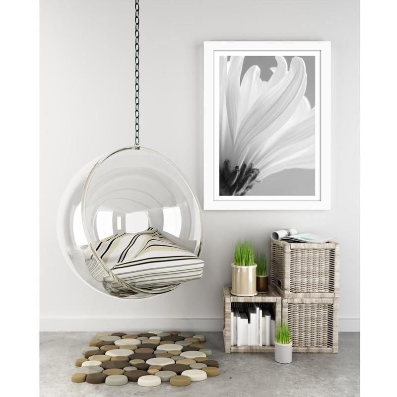 Glezna baltā rāmī - White chrysanthemums Home Trends DECO
