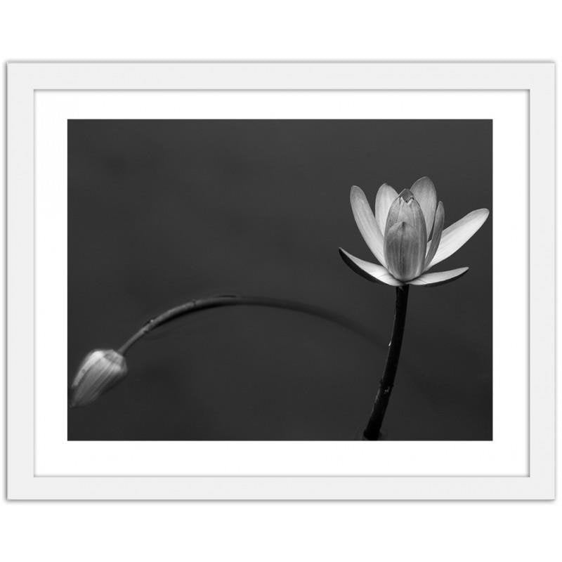 Glezna baltā rāmī - White flower 2 Home Trends DECO