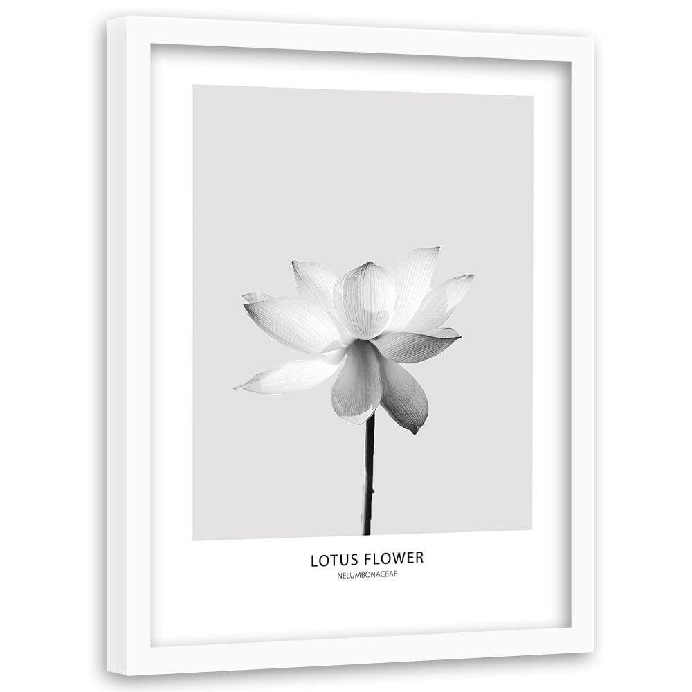 Glezna baltā rāmī - White Lotus Flower Home Trends DECO