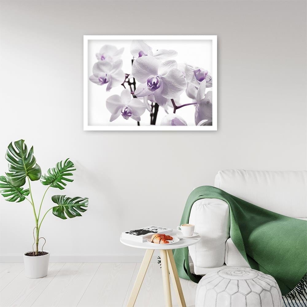Glezna baltā rāmī - White Orchid 3 Home Trends DECO