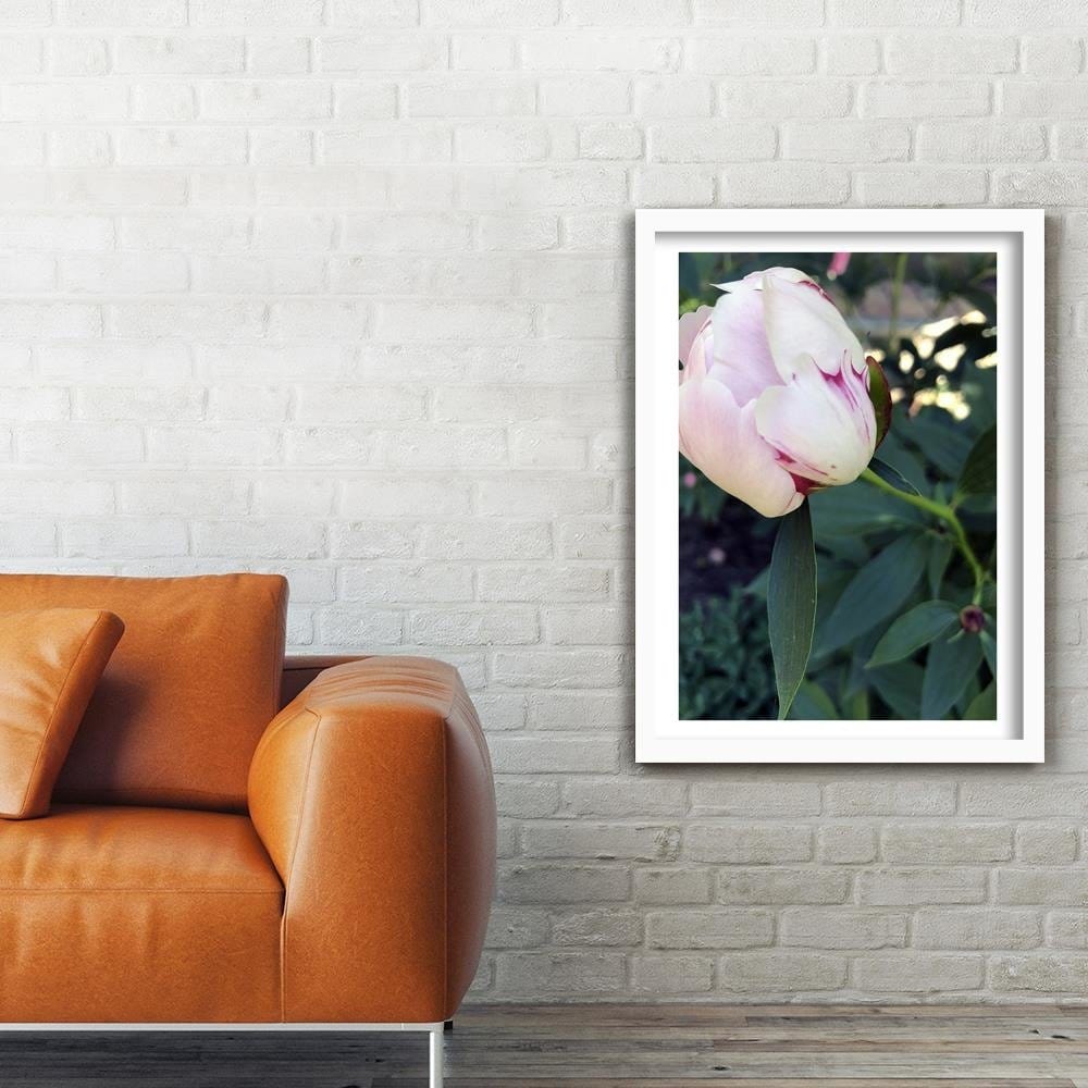 Glezna baltā rāmī - White Peony Home Trends DECO