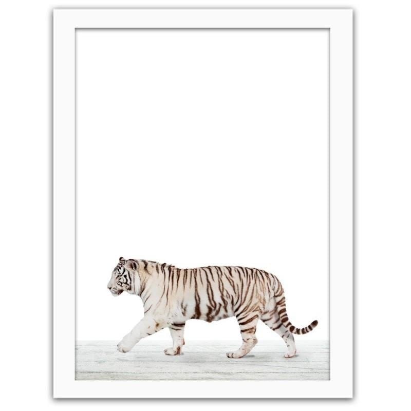 Glezna baltā rāmī - White tiger Home Trends DECO
