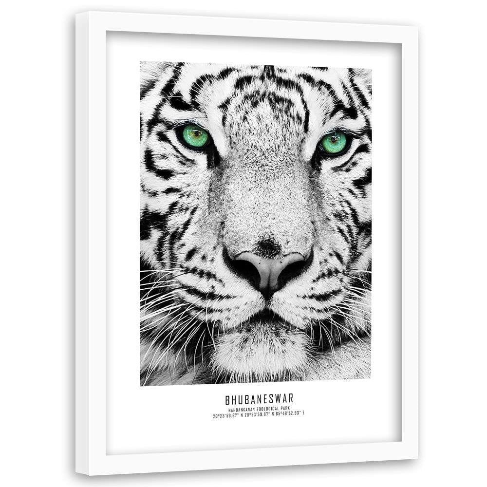 Glezna baltā rāmī - White Tiger Home Trends DECO