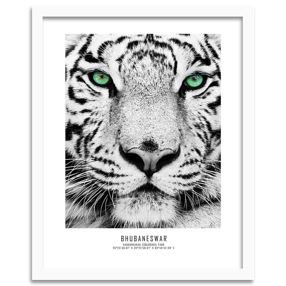 Glezna baltā rāmī - White Tiger Home Trends DECO