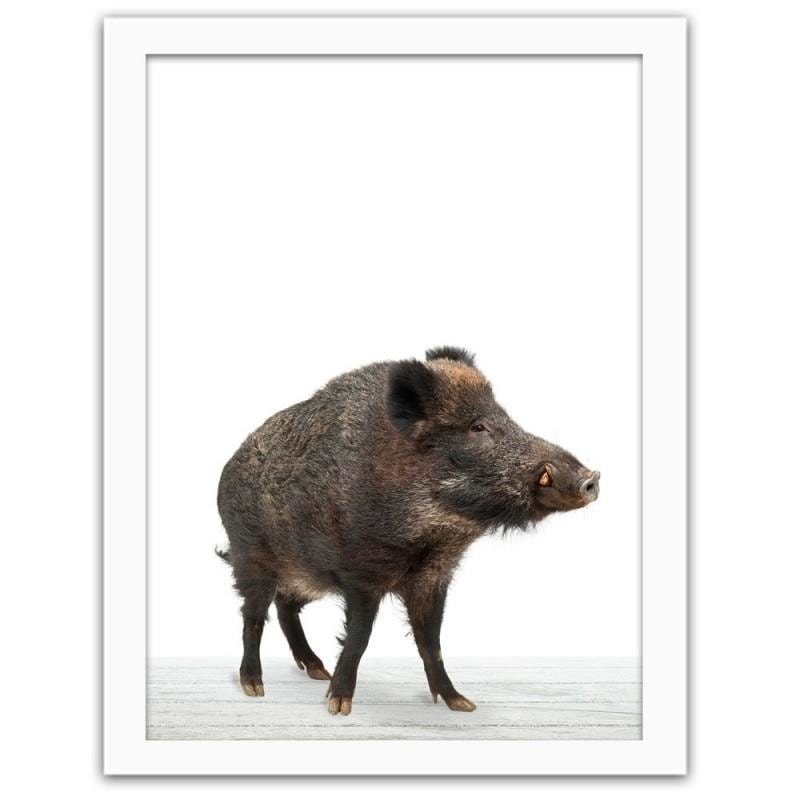 Glezna baltā rāmī - Wild boar Home Trends DECO