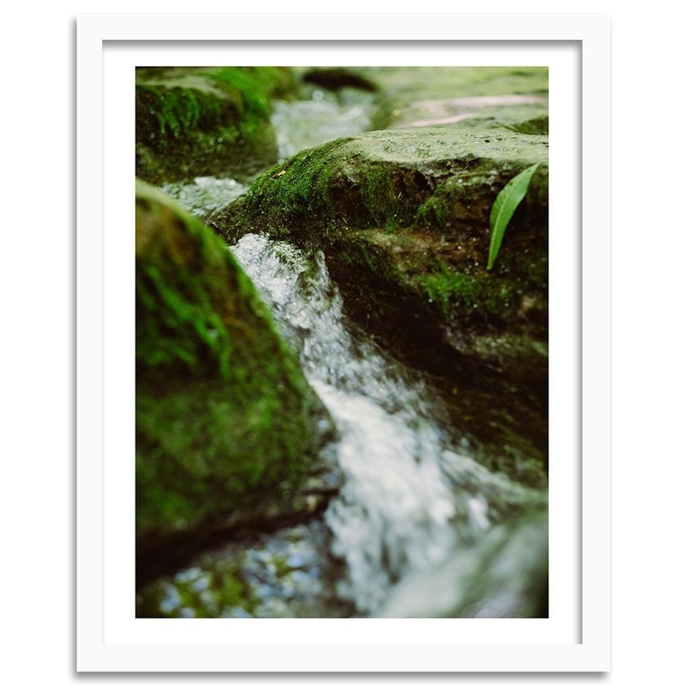Glezna baltā rāmī - Wild River Home Trends DECO