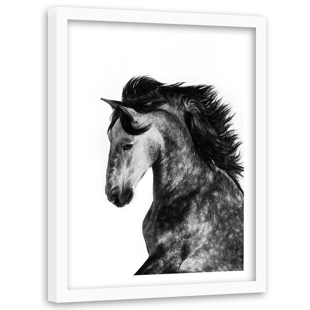 Glezna baltā rāmī - Wild Steed Home Trends DECO
