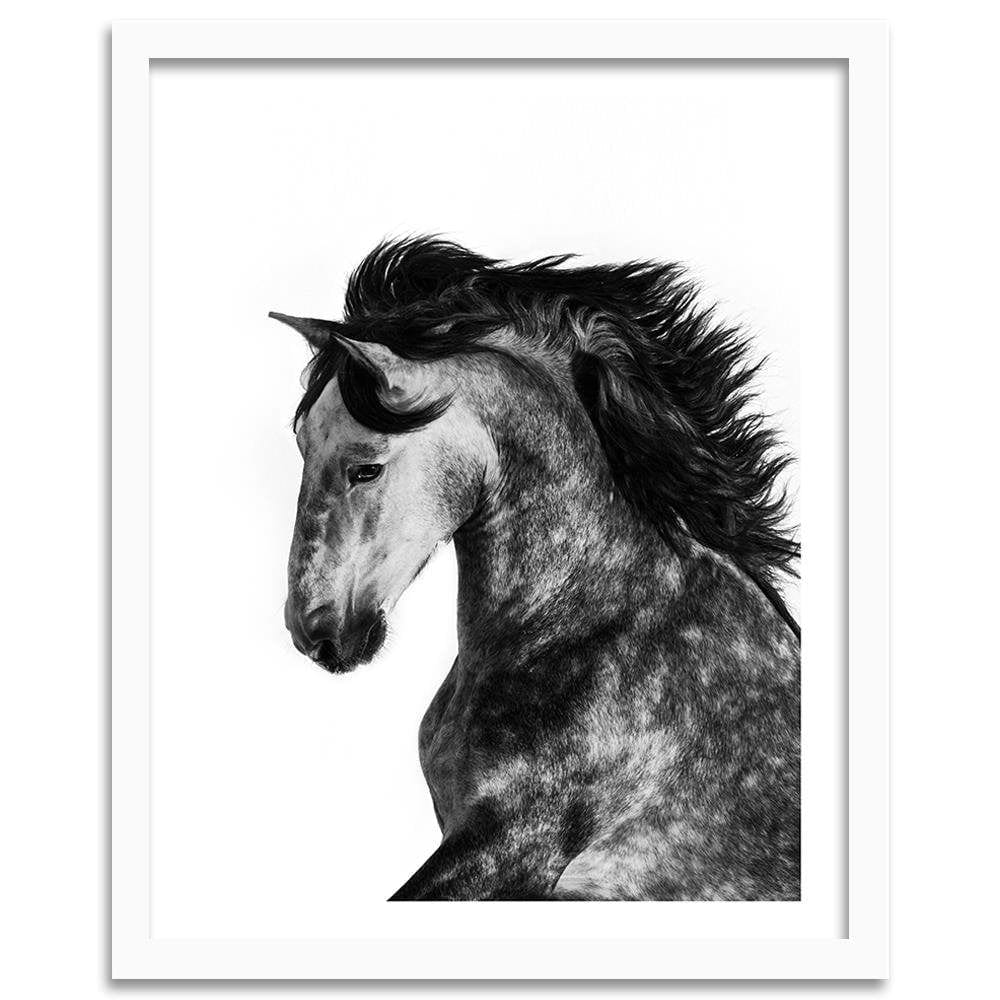 Glezna baltā rāmī - Wild Steed Home Trends DECO