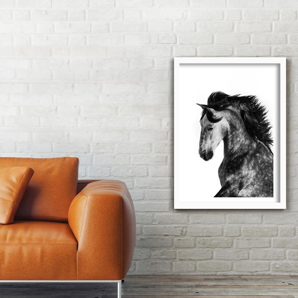 Glezna baltā rāmī - Wild Steed Home Trends DECO